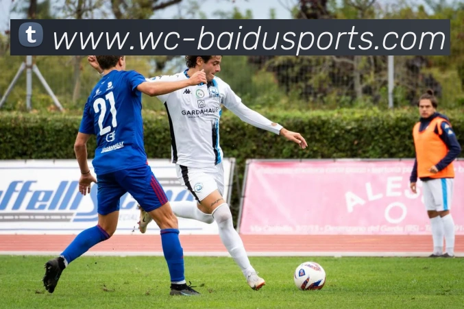 百度体育发展历程